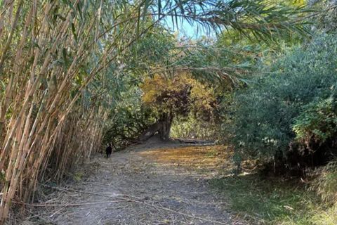 Helårsgrund i Orgiva, Granada, Orgiva - € 85.000 | Ref: OC592 - foto 3